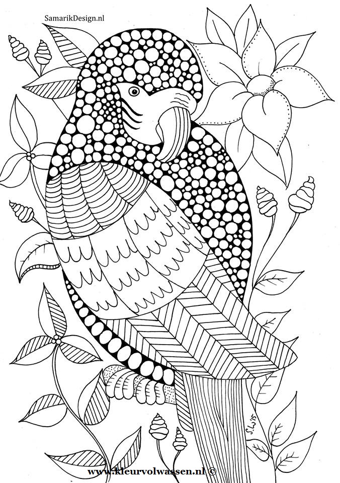 676x960 Pin By Susanne Schellen On Vogels Kleurplaten Bird