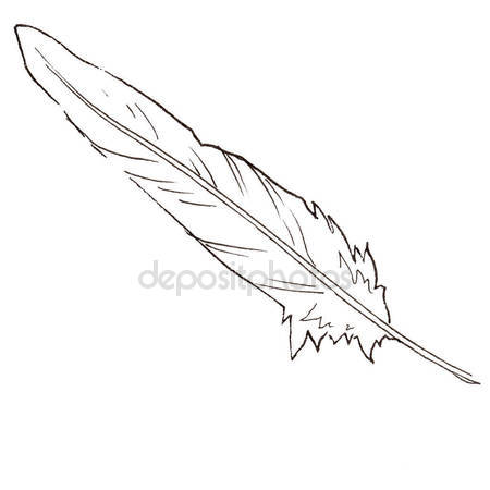 450x450 Watercolor Bird Feather From Wing Isolated. Stock Photo