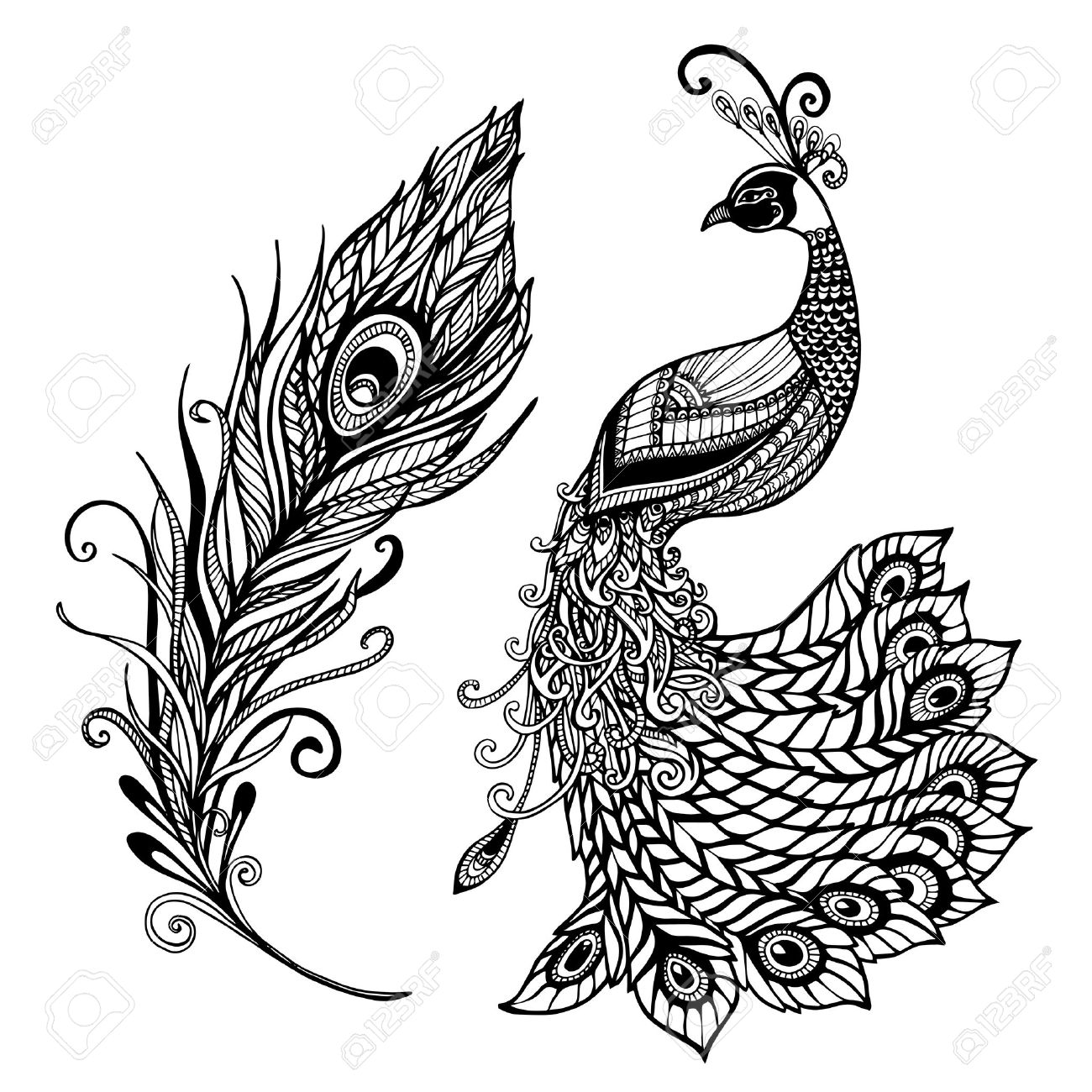 1300x1300 Decorative Stylized Peacock Bird Feather Art Deco Design Template
