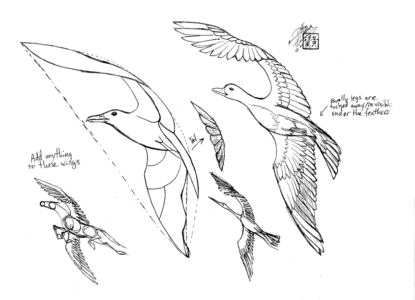 816x589 Draw A Bird 3 Part 2 By Diana Huang