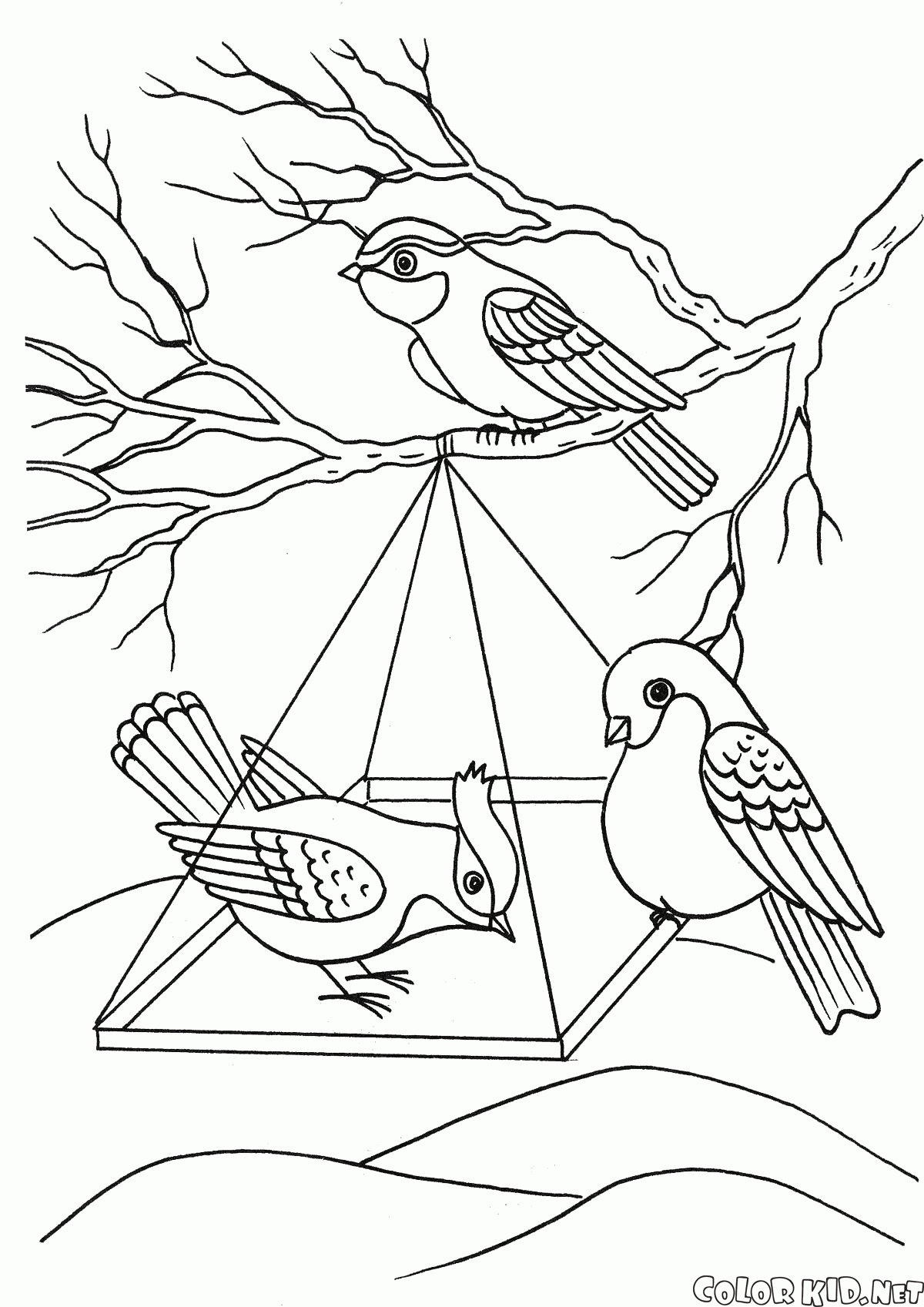 1200x1697 Coloring Page