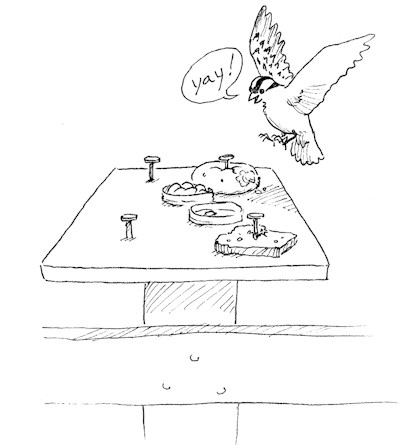 400x445 Homemade Bird Feeders Wilderness Awareness School