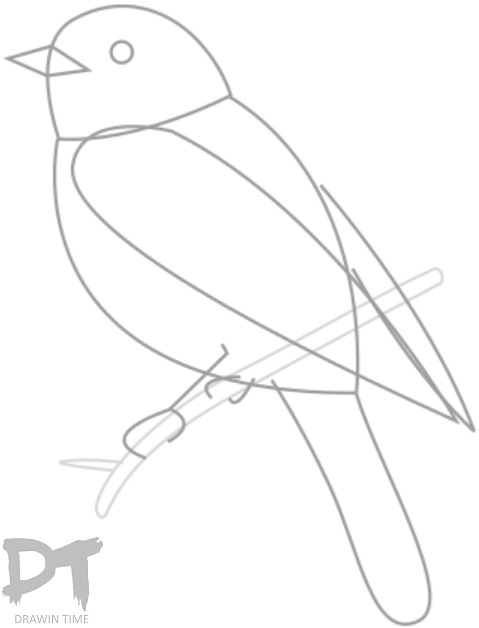 479x628 How To Draw A Bird Drawintime