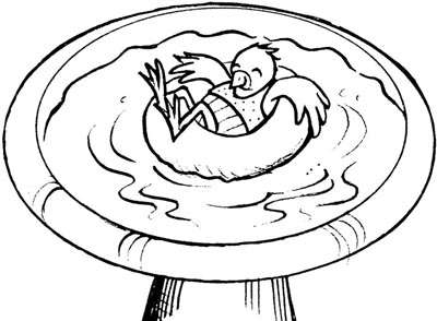 400x294 Water Hole Bird Feeder Howstuffworks