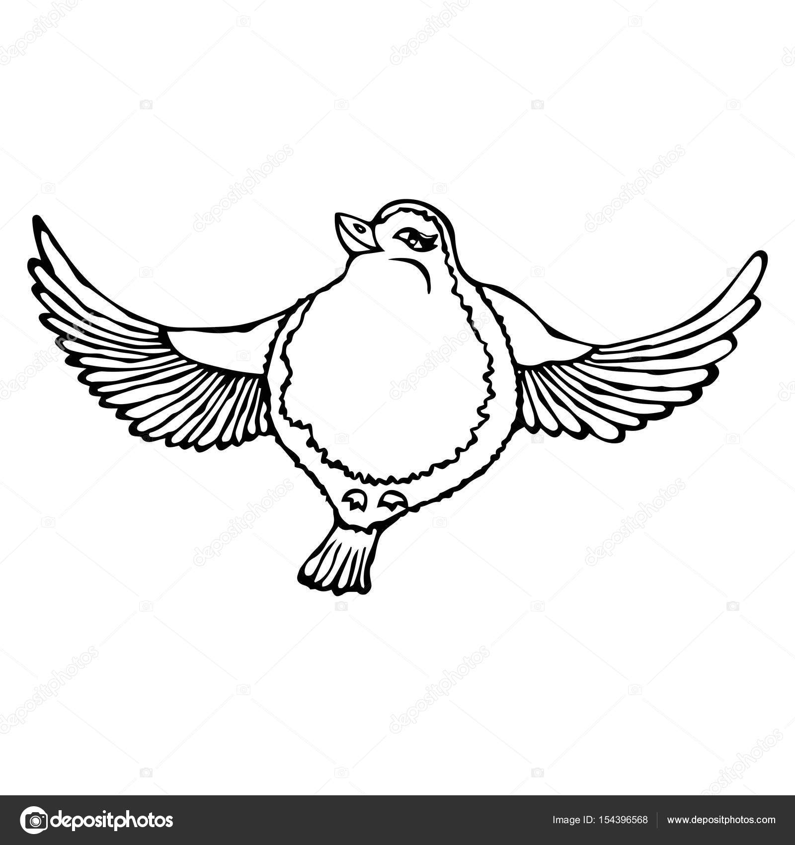 1600x1700 Cute Adorable Bird Flying. Isolated On A White Background Doodle