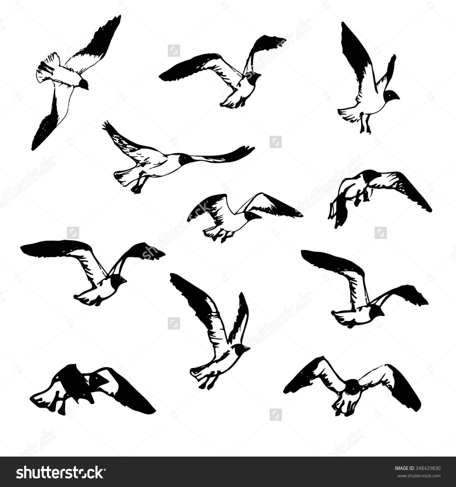 1500x1600 Drawings Of Birds In Flight Hand Drawn Flying Seagulls. Black