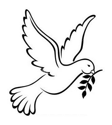 360x402 Drawn Dove Soaring Bird