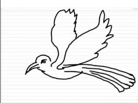 480x360 How To Draw Birds Flying