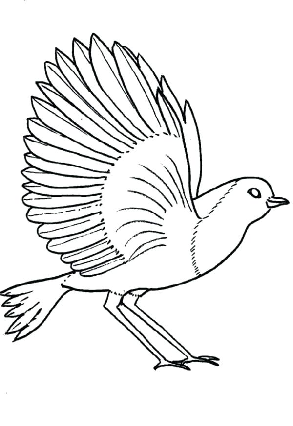 600x870 Robin Bird Coloring Pages Coloring Pages Of Birds Flying Com