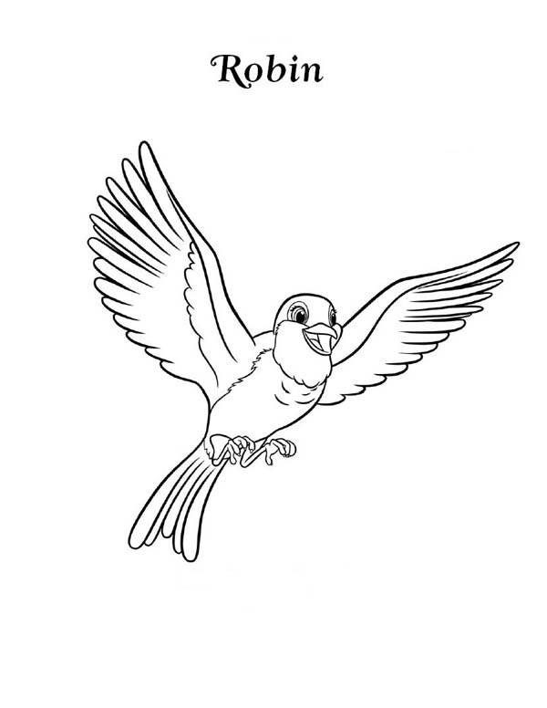 600x776 Robin Bird Flying Drawing
