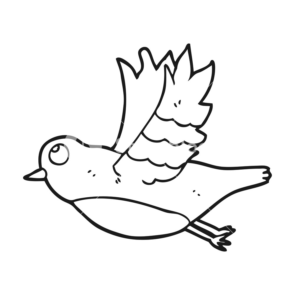 1000x1000 Freehand Drawn Black And White Cartoon Bird Flying Royalty Free