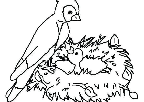 600x425 Coloring Pages Of Birds Coloring Pictures Of Birds Flying Bird
