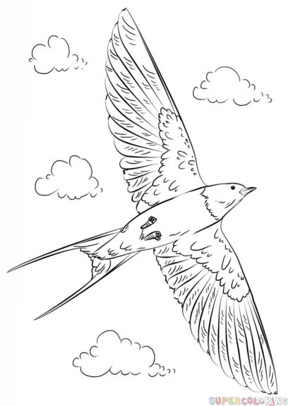 408x575 24 Best Drawing Birds Images On Draw, Draw A Bird