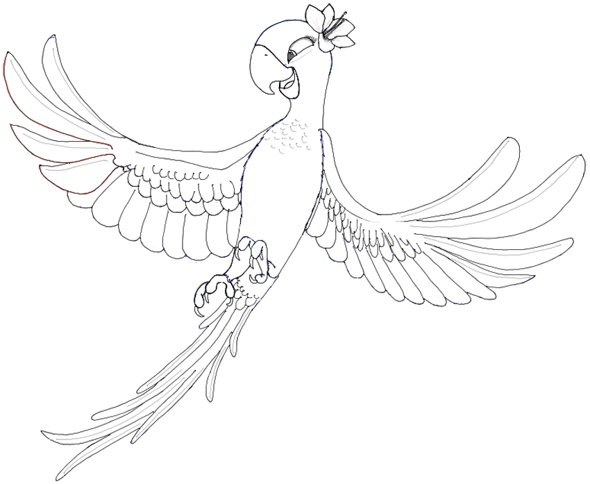 850x697 How To Draw Jewel From Rio And Rio 2 In Easy Steps Drawing