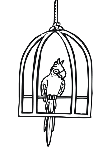 360x480 Parrot In A Cage Coloring Page Free Printable Coloring Pages