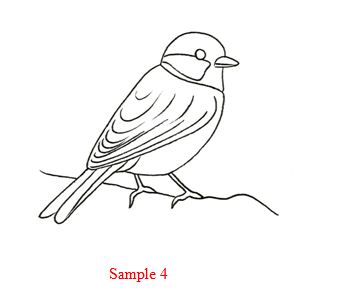 340x302 How To Draw A Bird Step By Step Easy With Pictures Bird Sketch