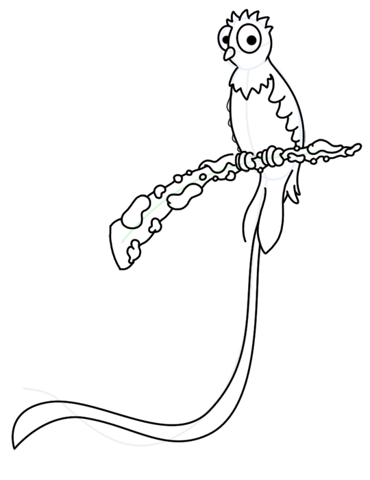 540x700 How To Draw A Quetzal Bird
