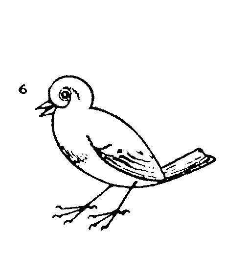 464x532 How To Draw A Bird Easy Step By Step