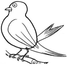232x234 Cartoon Bird Drawing Tutorial