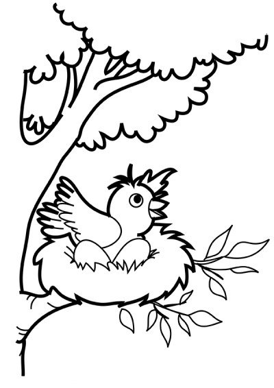 400x566 Coloring Pages For Kids. Learn To Color Birds How To Draw
