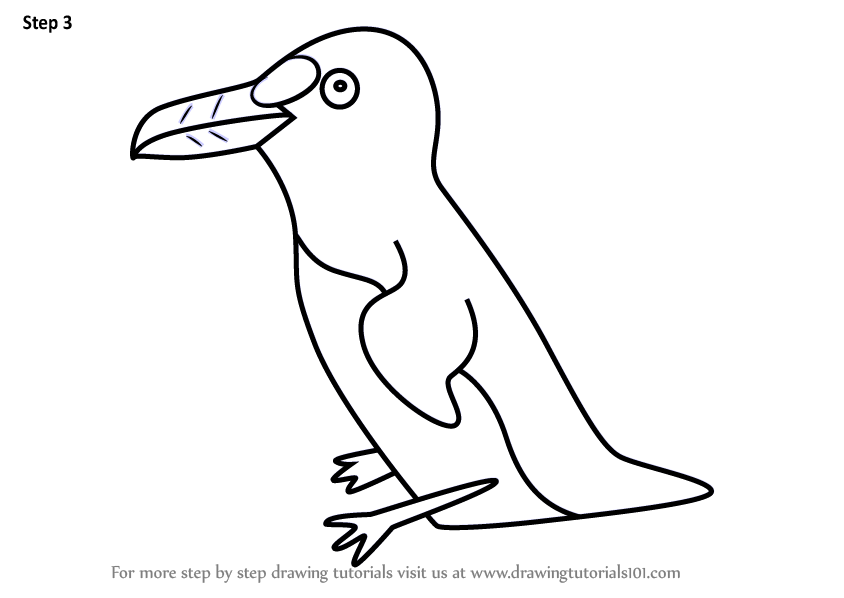 844x598 Learn How To Draw An Auk Bird For Kids (Animals For Kids) Step By