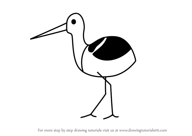 800x567 Learn How To Draw An Avocet Bird For Kids (Animals For Kids) Step