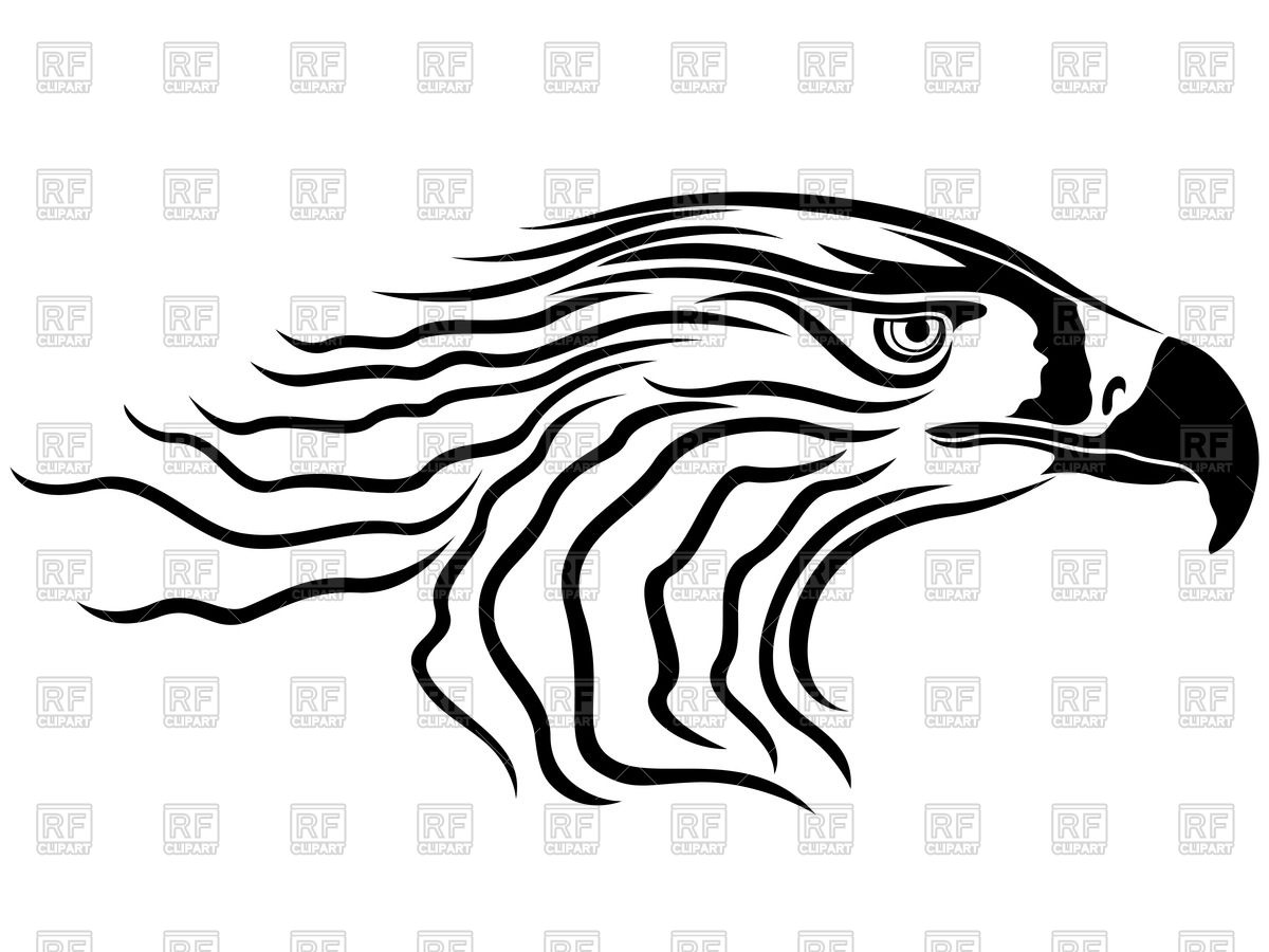 1200x900 Head Of Menacing Eagle, Side View Royalty Free Vector Clip Art