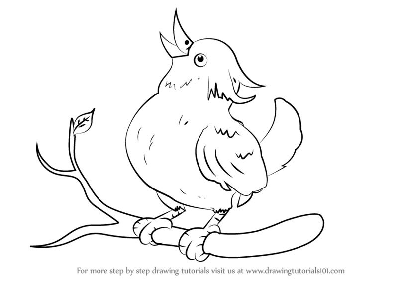800x567 Learn How To Draw A Bird Sitting On A Branch (Birds) Step By Step