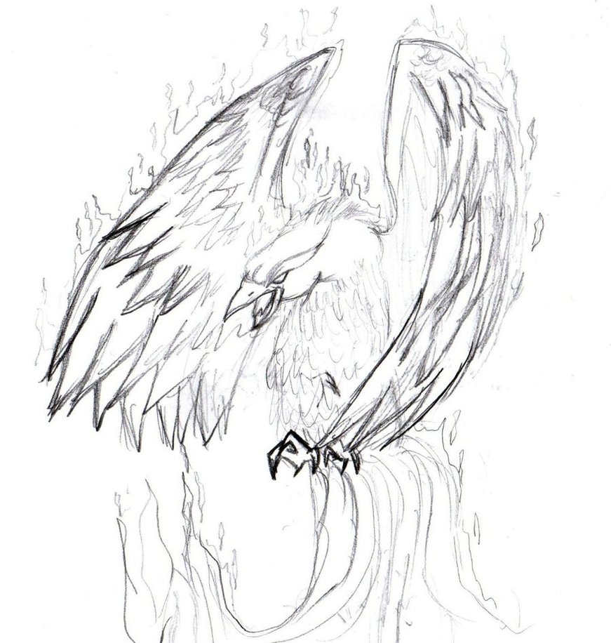 871x916 Phoenix Bird By Magearia