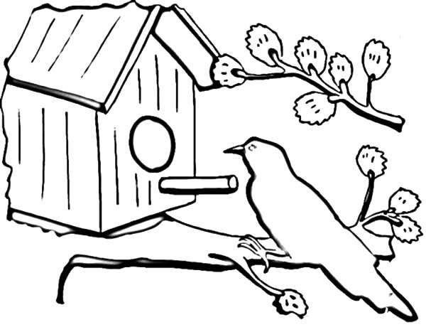 Bird House Drawing at GetDrawings | Free download