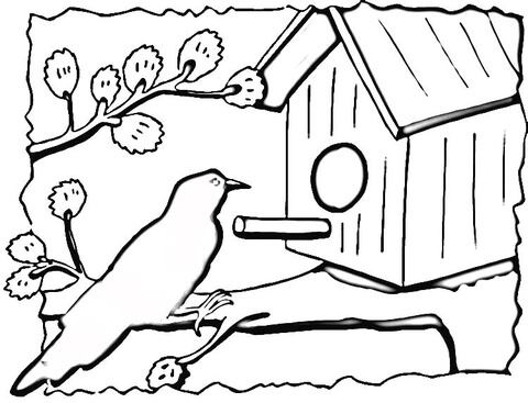 480x367 Birdhouse Coloring Page Free Printable Coloring Pages