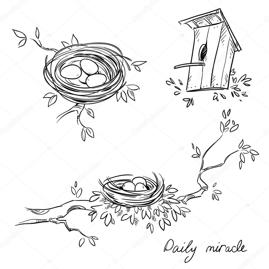 1024x1024 Hand Drawn Nests And A Birdhouse, Line Drawing Stock Vector