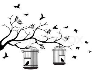 320x258 Illustration Flying Birds With A Love For The Bird In The Cage