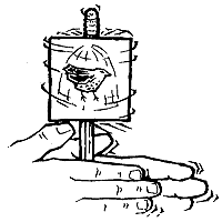 200x200 My Science Program Getting The Bird In The Cage