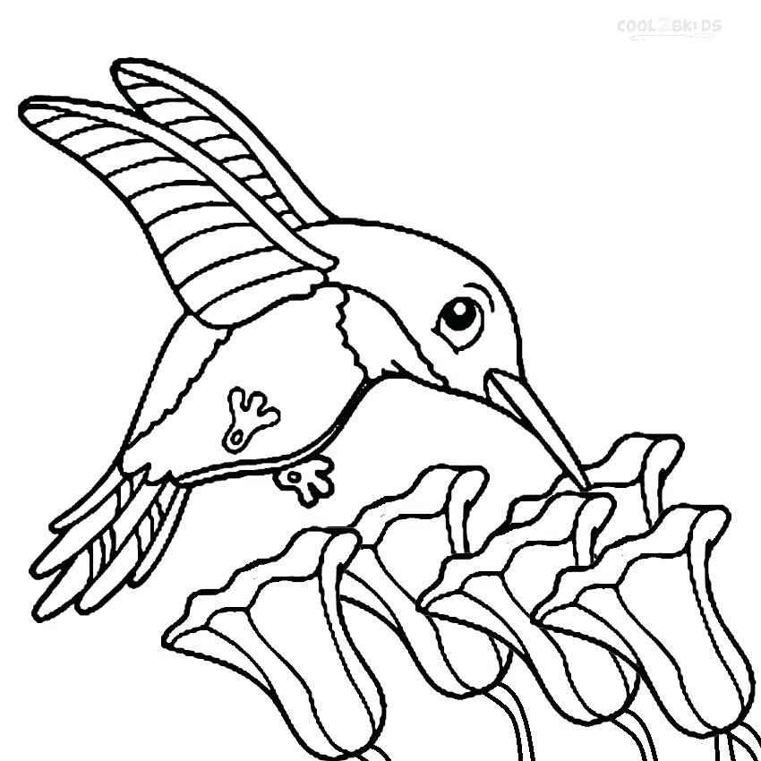 850x850 Coloring Page Bird