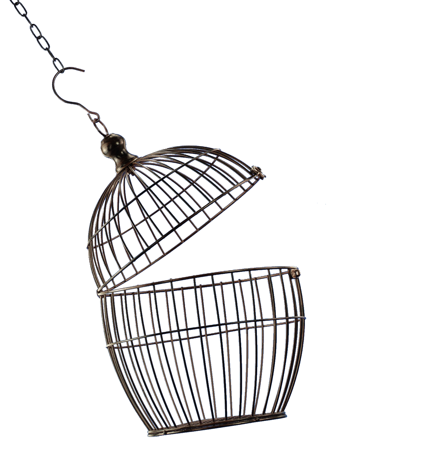 1488x1563 Bird Cage By Sylvana Creation