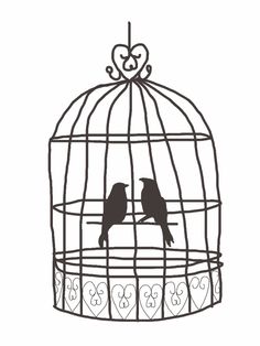 236x314 Bird In A Cage