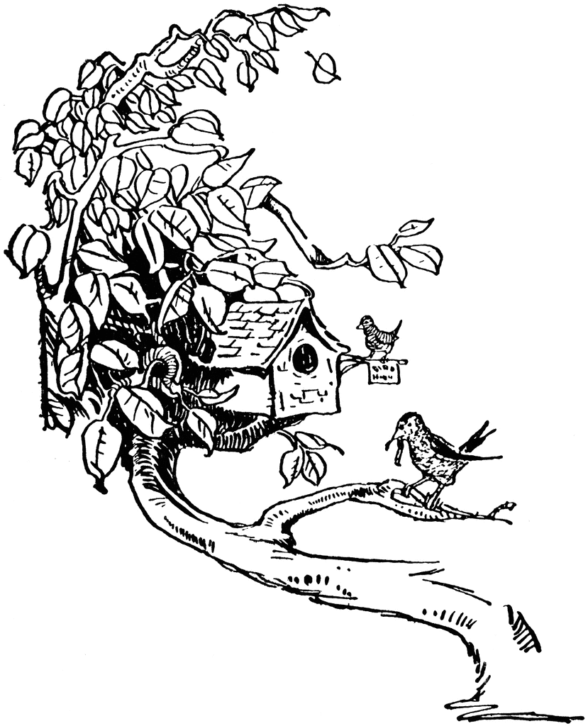 829x1024 Birdhouse In Tree Limb Clipart Etc