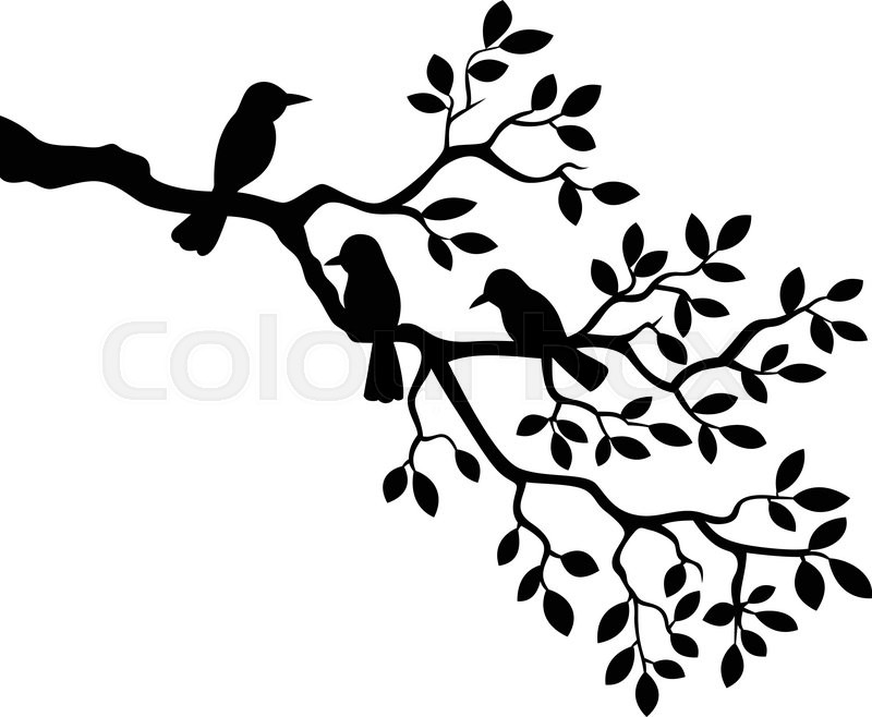 800x658 Black Silhouettes Of Trees And Flying Birds Isolated On White