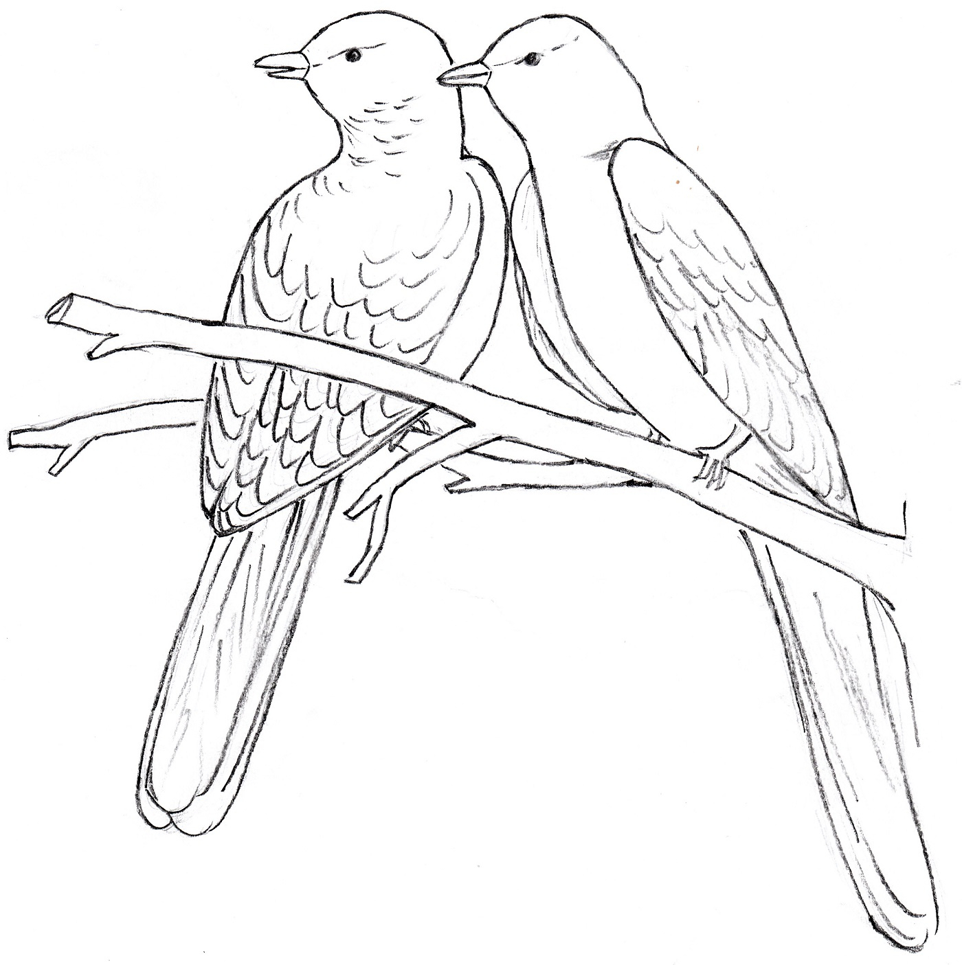 1400x1405 Drawing Of Two Birds Drawn Branch Glass Painting