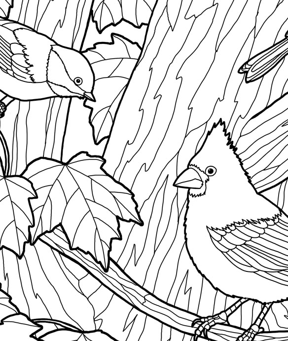 584x691 Forest Wildlife Art Autumn Birds Adult Coloring Page