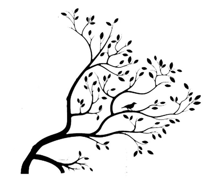 705x571 Vintage Resurrections Bird In A Tree Drawers Graphics