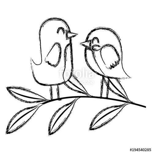 500x500 Cute Couple Birds Together In Tree Branch Vector Illustration