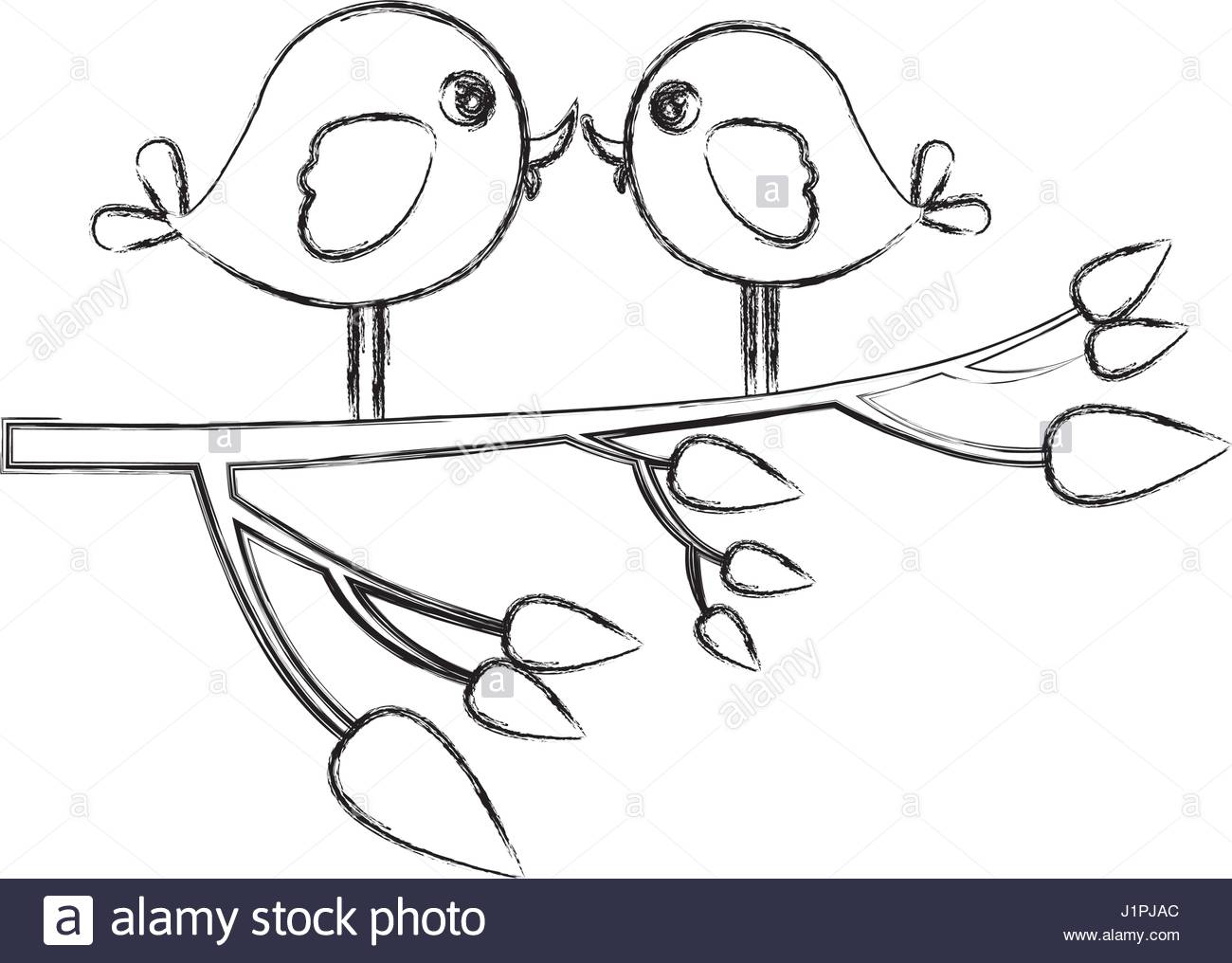1300x1016 Monochrome Sketch With Pair Birds In Tree Branch Stock Vector Art