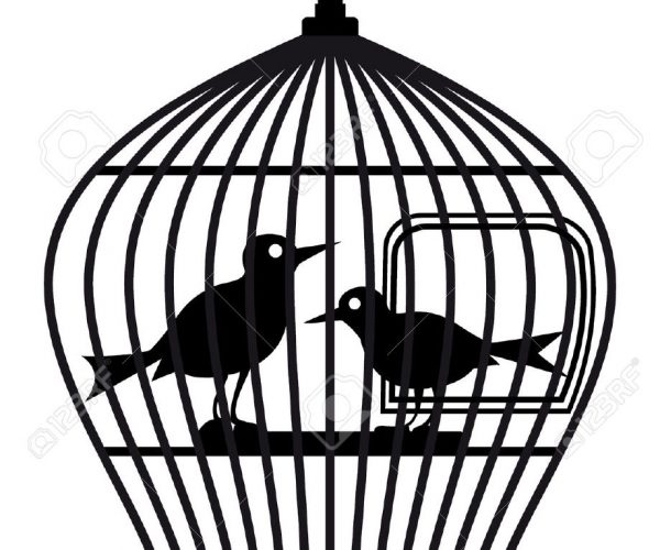 600x500 Peaceably Download Free Vintage Like This Item Vintage Bird Cage