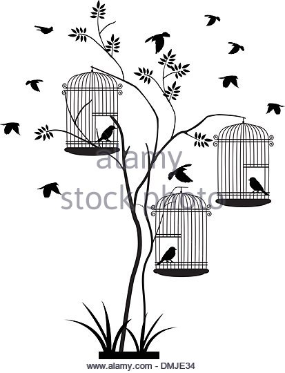 413x540 Bird Cage Bird In Silhouette Stock Photos Amp Bird Cage