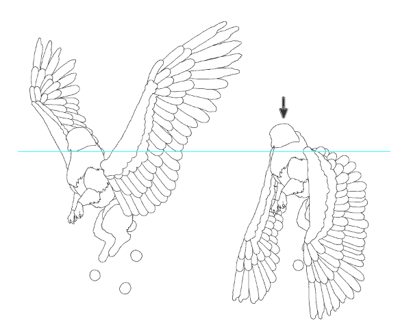 600x491 Create A Flight Animation From Scratch In Adobe Photoshop
