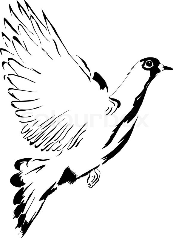 580x800 Flying Dove Cartoon Drawing Made U200bu200bby Hand. Vector Illustration