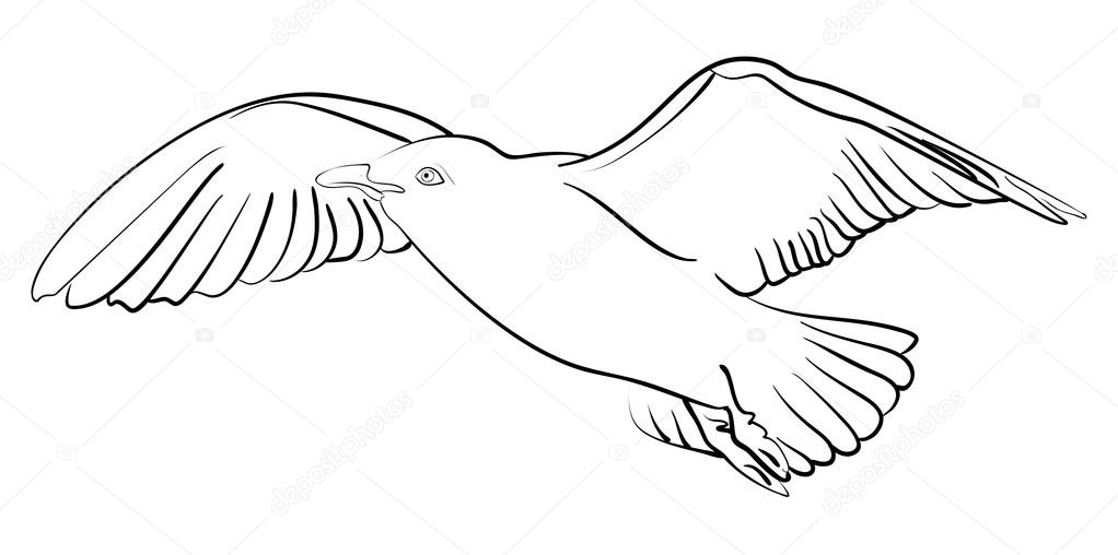 1022x508 Vector Ink Sketch Seagull In Flight Stock Vector Tiverets