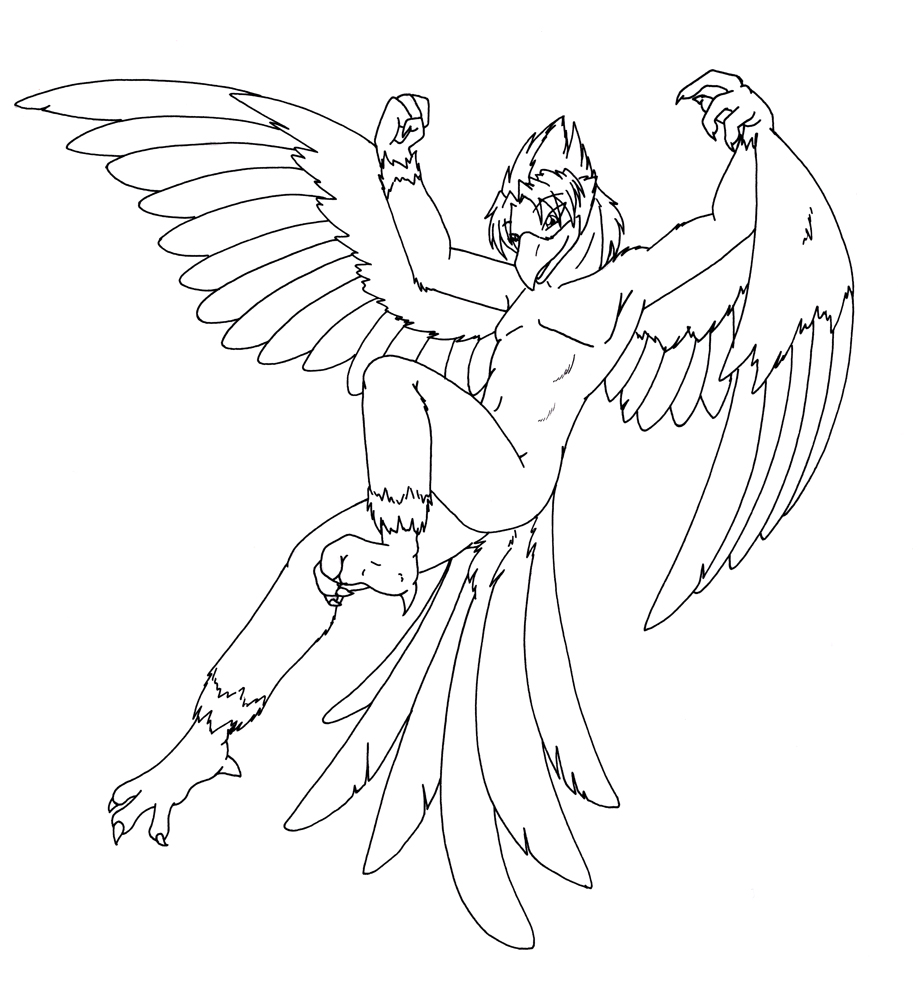 919x1000 Bird In Flight By Tierafoxglove